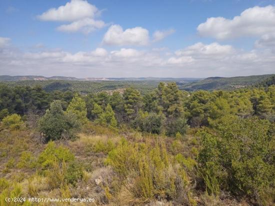 Se Vende en Valderrobres - TERUEL