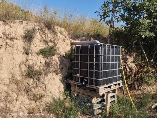 Finca con cultivo de olivos y riego por goteo - TERUEL