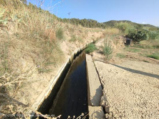 Finca con cultivo de olivos y riego por goteo - TERUEL