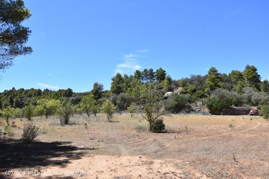 Finca en Lledó con vistas - TERUEL