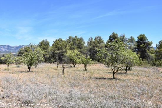 Finca en Lledó con vistas - TERUEL