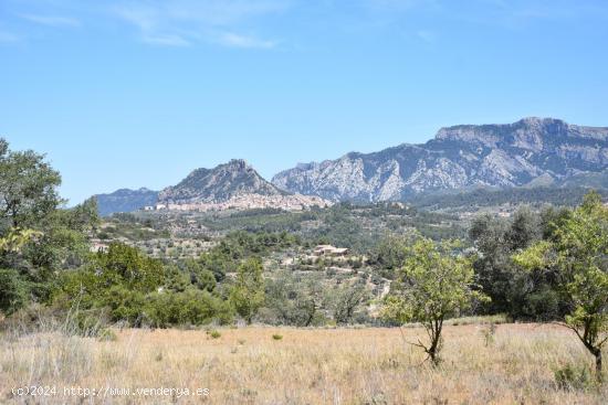 Finca en Lledó con vistas - TERUEL