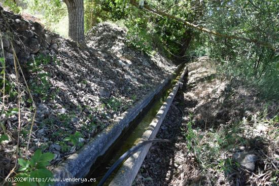 Huerto con agua de acequia - TERUEL