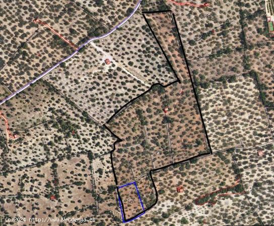  🌿 4,6 ha en venta en Parellades🌿 - TARRAGONA 