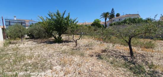 TERRENO URBANO - SALTERAS - SEVILLA