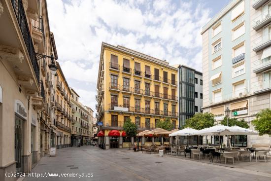 !! ESPECTACULAR VIVIENDA EN PLENO CENTRO!! - GRANADA