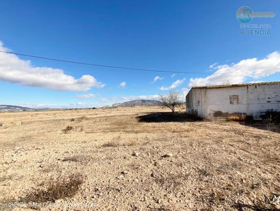 TERRENO RUSTICO CON AMPLIO ALMACEN EN EL CONDADO DE ALHAMA - MURCIA