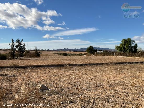 TERRENO RUSTICO CON AMPLIO ALMACEN EN EL CONDADO DE ALHAMA - MURCIA