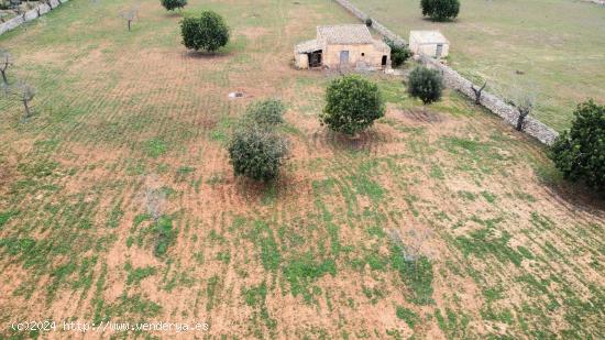  SOLAR RUSTICO CON PROYECTO DE VIVIENDA EN SANTA MARGARITA - BALEARES 