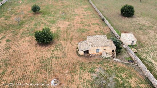 SOLAR RUSTICO CON PROYECTO DE VIVIENDA EN SANTA MARGARITA - BALEARES