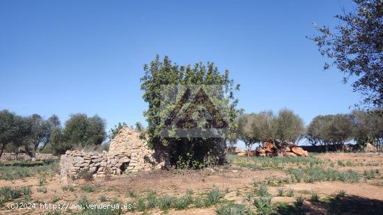 Estupendo terreno con proyecto incluido - BALEARES