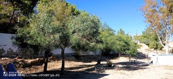 Se Vende en Crevillent - ALICANTE