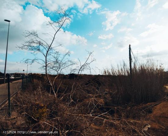 Parcela de terreno en venta con vistas al mar en Guardamar del Segura, Alicante, Costa Blanca - ALIC