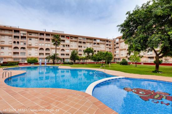 APARTAMENTO DE 2 DORMITORIOS CON VISTAS DESPEJADAS Y PISCINA COMUNITARIA EN TORREVIEJA - ALICANTE