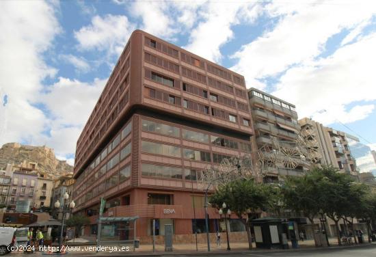 FANTÁSTICA VIVIENDA EN PLENO CENTRO DE ALICANTE - ALICANTE