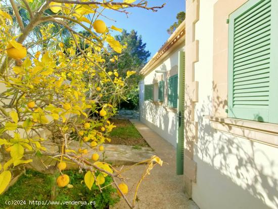 Chalet de 4 hab. con gran jardín. - BALEARES