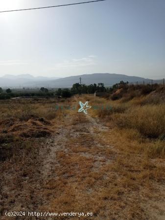 TERRENO CON BALSÓN Y CASETA EN ALHAMA DE MURCIA - MURCIA