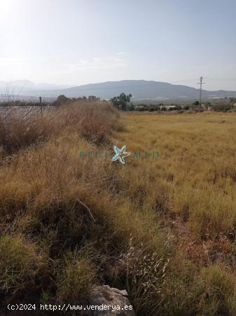 TERRENO CON BALSÓN Y CASETA EN ALHAMA DE MURCIA - MURCIA