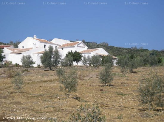  CORTIJO EN ALORA - Alora 