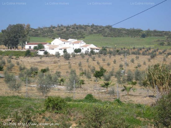 CORTIJO EN ALORA - Alora