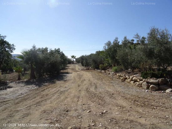 CORTIJO EN ALORA - Alora