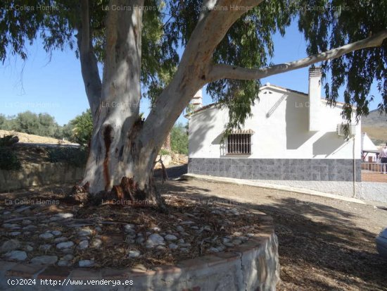 CORTIJO EN ALORA - Alora