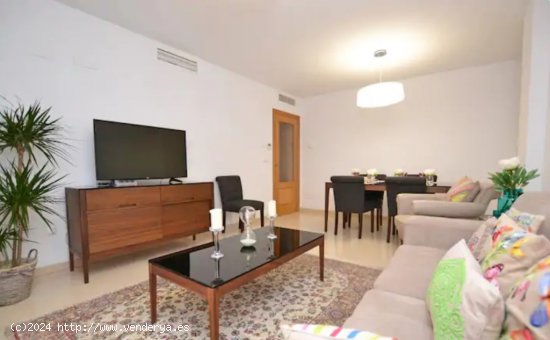  Apartamento en Alquiler en Alicante Alicante CENTRO 