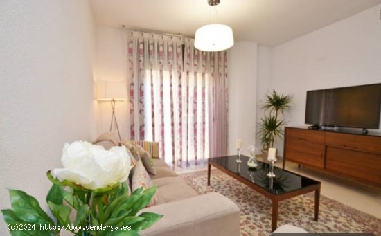 Apartamento en Alquiler en Alicante Alicante CENTRO