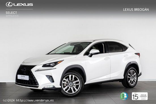  Lexus NX 300H 4WD EXECUTIVE NAVIGATION - A Coruña 