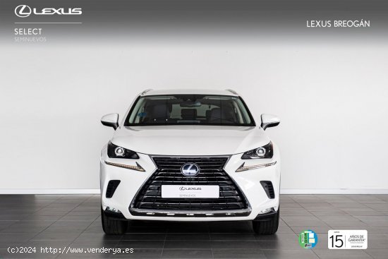 Lexus NX 300H 4WD EXECUTIVE NAVIGATION - A Coruña