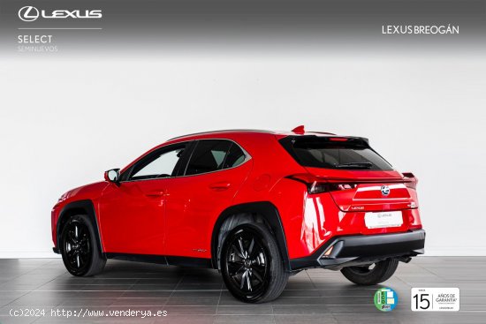 Lexus UX 250H 2WD BUSINESS - A Coruña