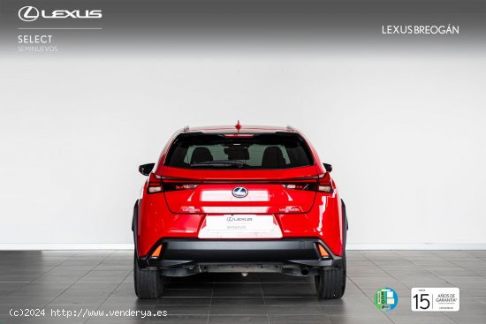 Lexus UX 250H 2WD BUSINESS - A Coruña