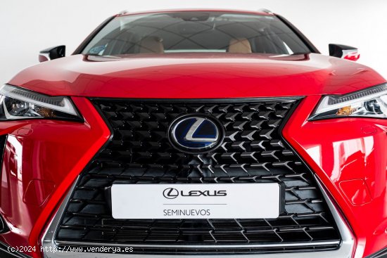 Lexus UX 250H 2WD BUSINESS - A Coruña