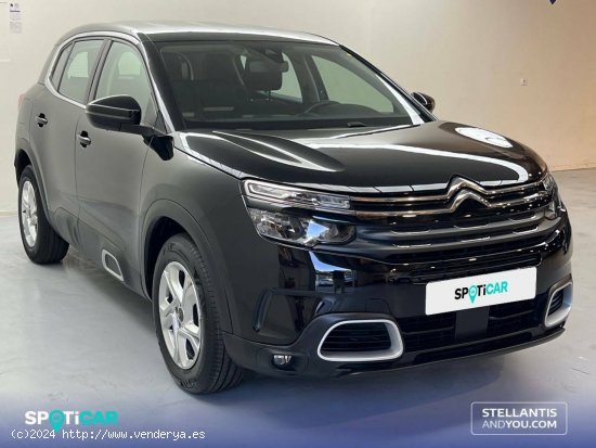 Citroën C5 Aircross  BlueHdi 96kW (130CV) S&S Live Pack - Sevilla