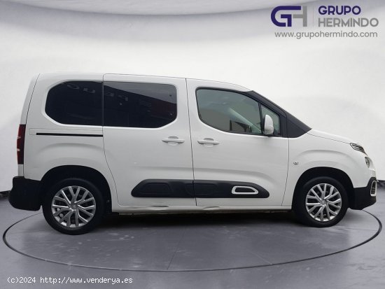 Citroën Berlingo TALLA M BLUE HDI 100 CV FEEL - Ponteareas