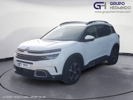  Citroën C5 Aircross FEEL BLUE HDI 130 CV - Ponteareas 