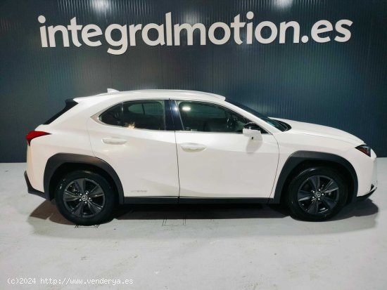 Lexus UX 2.0 250h Business - 