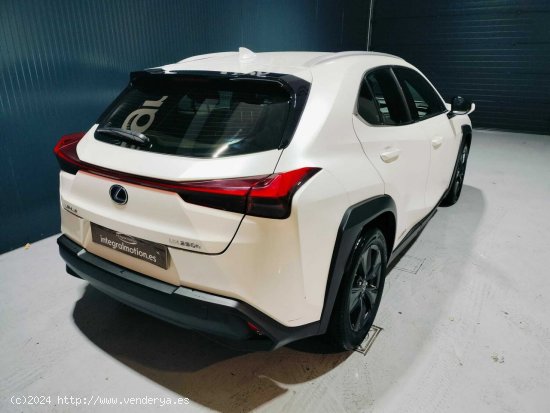 Lexus UX 2.0 250h Business - 