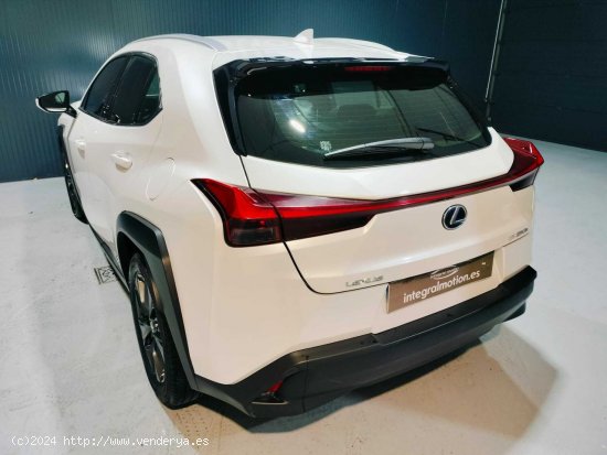 Lexus UX 2.0 250h Business - 