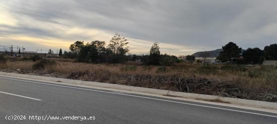 SE VENDE TERRENO EN MUY BUENA ZONA PEGADO AL PUEBLO - ALICANTE