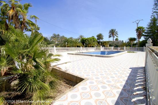 Gran chalet en el corazon de peña aguilas - ALICANTE