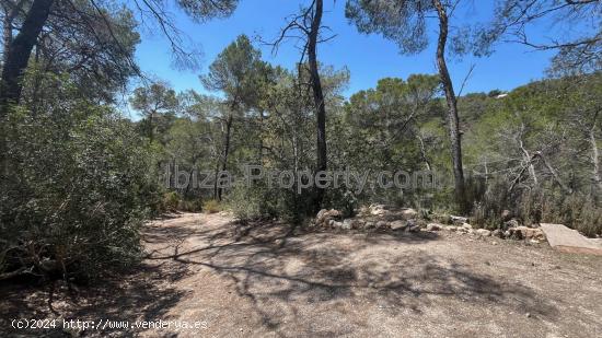 VENTA - Terreno rustico cerca de Roca Llisa, Santa Eulalia del Río - BALEARES