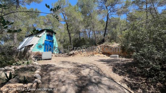 VENTA - Terreno rustico cerca de Roca Llisa, Santa Eulalia del Río - BALEARES