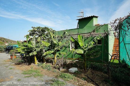 Casa de campo con terreno y frutales - LAS PALMAS