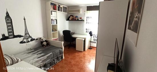 Piso convertido en 2 apartamentos en Jerez de la Frontera - CADIZ