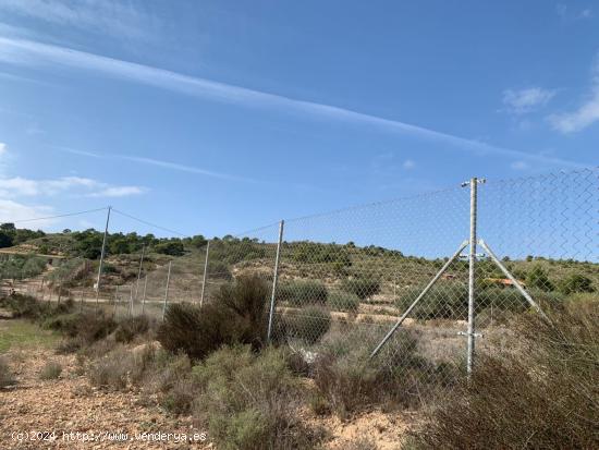 TERRENO RUSTICO EN EL RELLANO DE MOLINA DE SEGURA - MURCIA