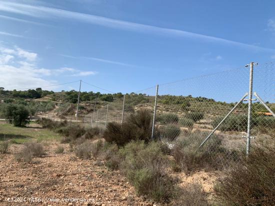 TERRENO RUSTICO EN EL RELLANO DE MOLINA DE SEGURA - MURCIA