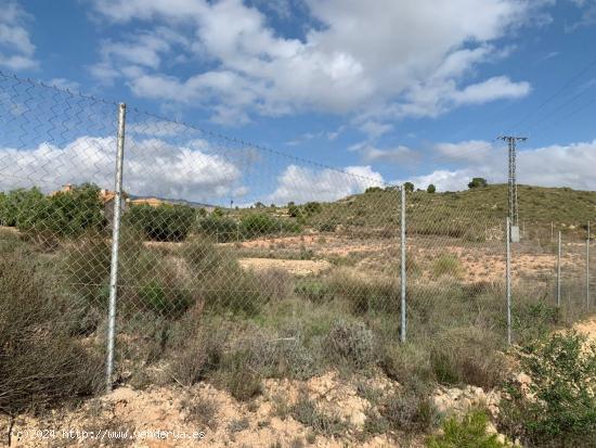 TERRENO RUSTICO EN EL RELLANO DE MOLINA DE SEGURA - MURCIA