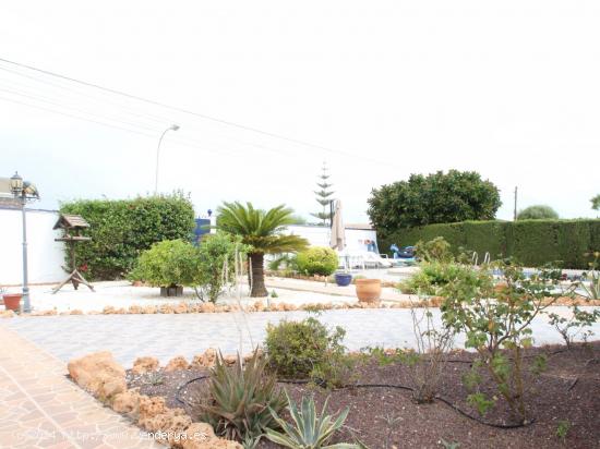 VILLA IN LA SIESTA - TORREVIEJA - ALICANTE