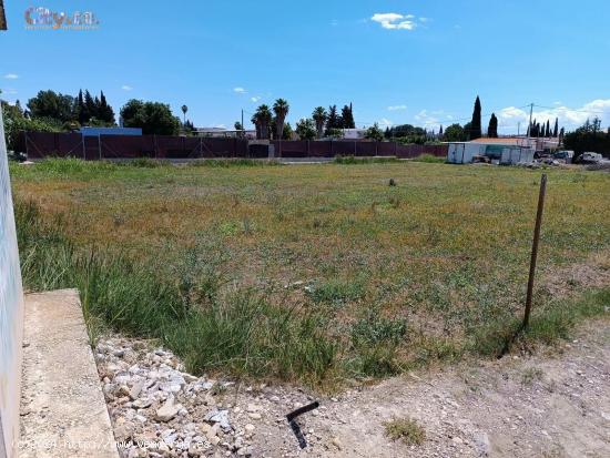 Terreno Rural en Molina  de Segura, Zona de la Hijuela - MURCIA